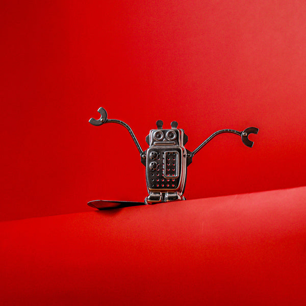 Stainless Steel Tea Strainer RB