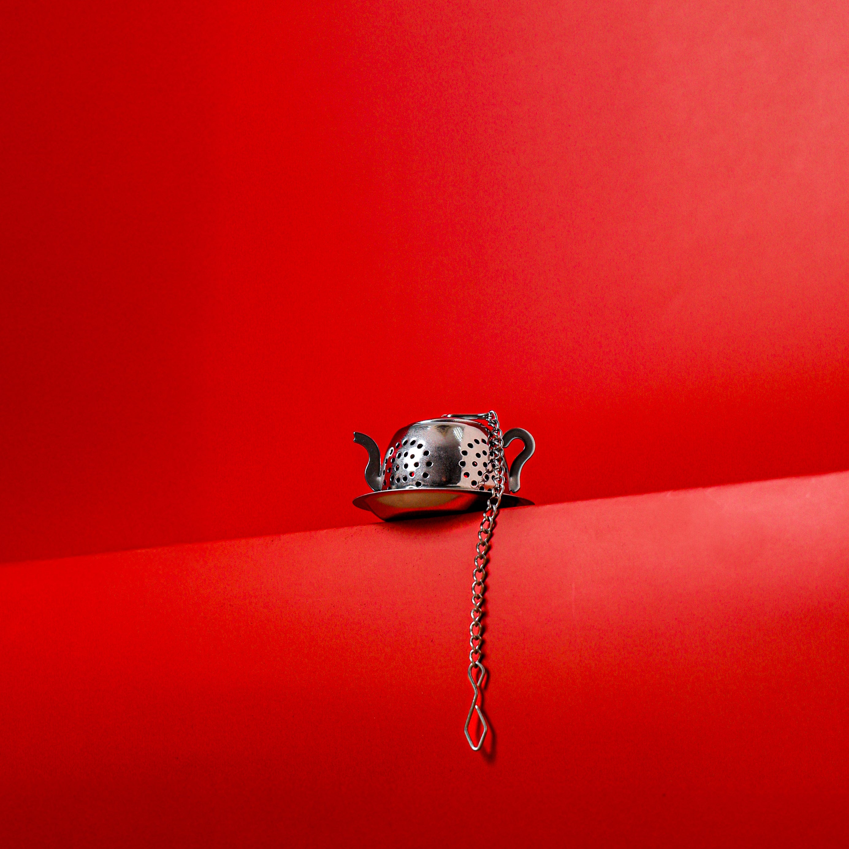 Stainless Steel Tea Strainer TP